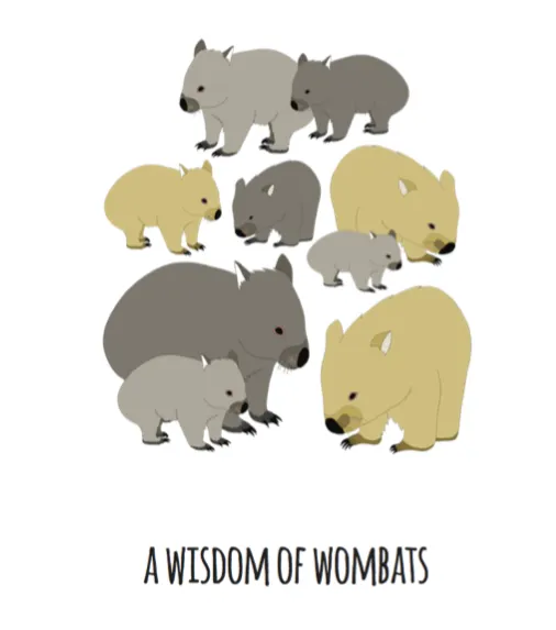 A Wisdom of Wombats Art Print