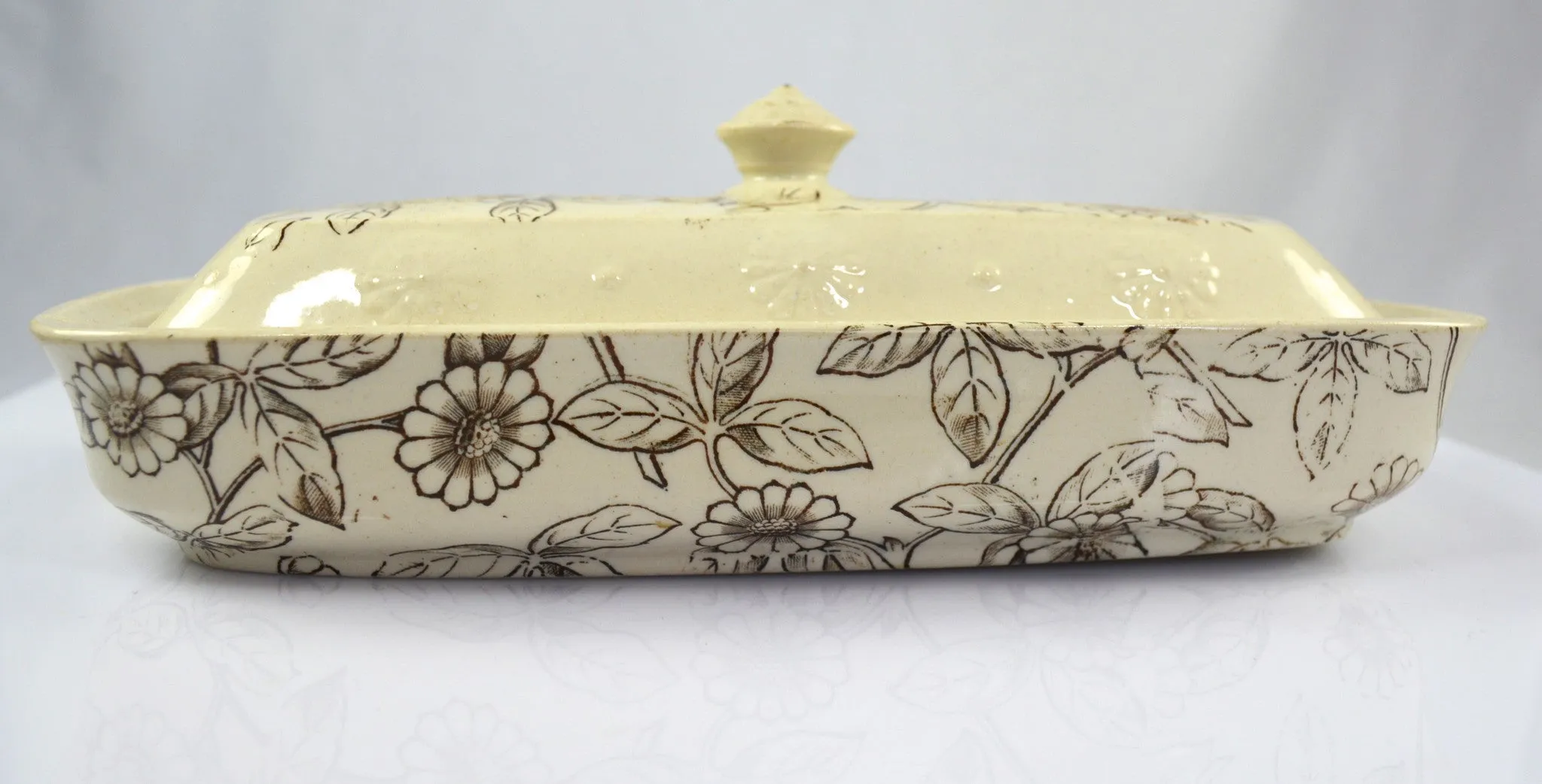Antique English Victorian Aesthetic Movement Razor Toothbrush Box Brown Transferware Staffordshire China Floral Detail
