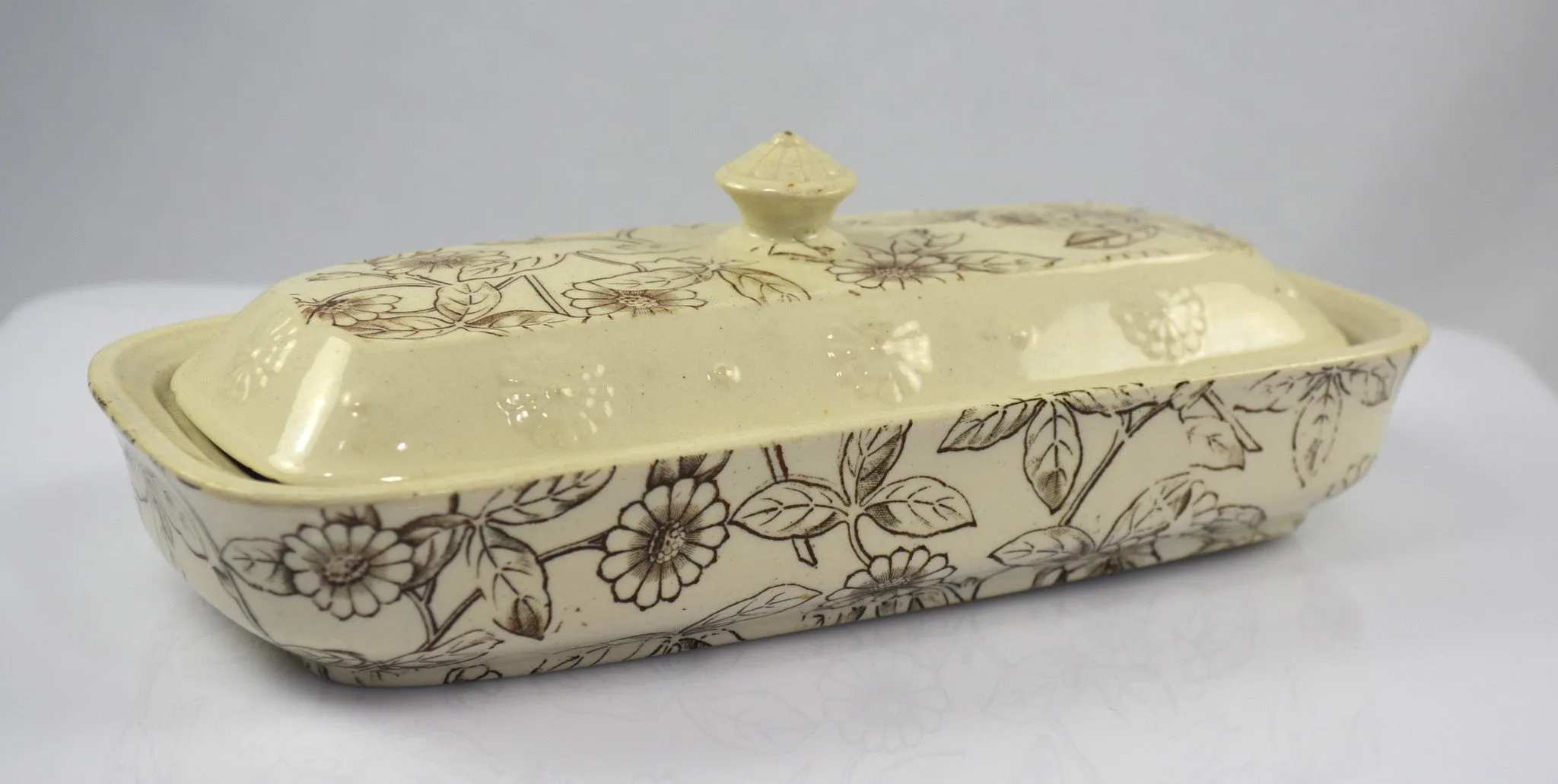 Antique English Victorian Aesthetic Movement Razor Toothbrush Box Brown Transferware Staffordshire China Floral Detail