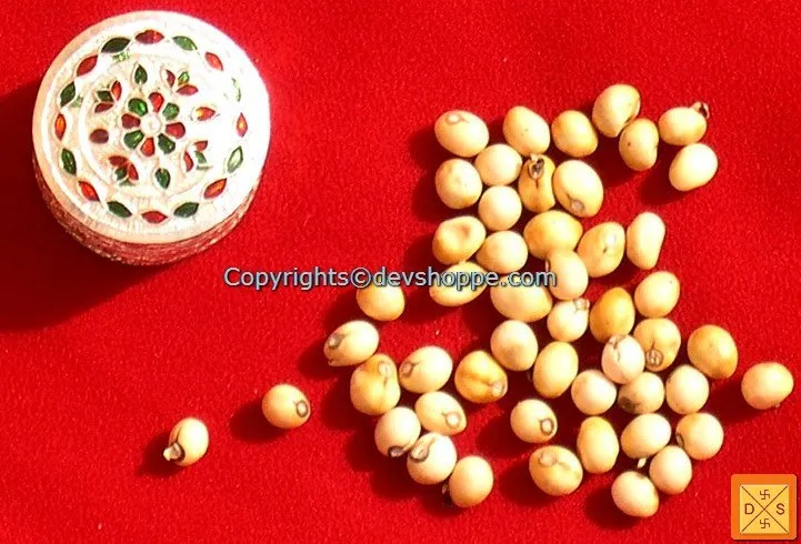 White Chirmi Beads in Silver Box -  Very Rare Lucky Charm